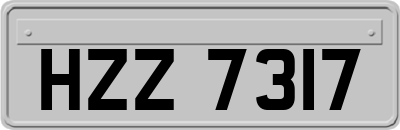 HZZ7317