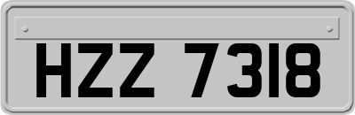 HZZ7318