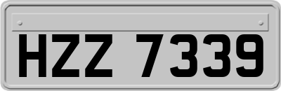 HZZ7339