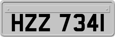 HZZ7341