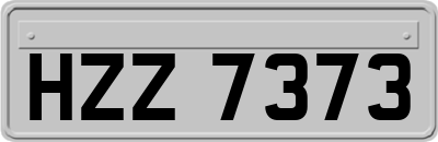 HZZ7373