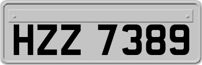 HZZ7389