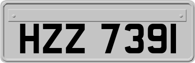 HZZ7391