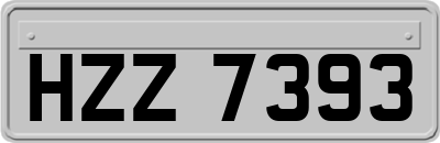 HZZ7393
