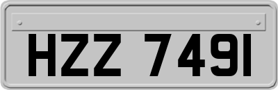 HZZ7491