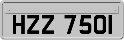 HZZ7501