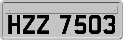 HZZ7503