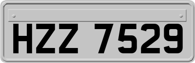 HZZ7529