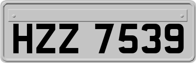 HZZ7539