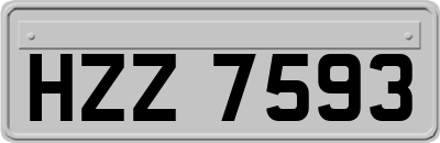 HZZ7593