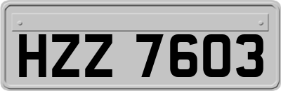HZZ7603