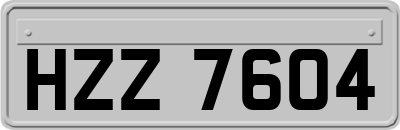 HZZ7604