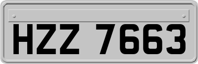 HZZ7663