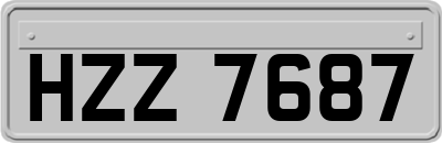 HZZ7687