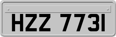 HZZ7731