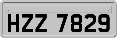HZZ7829