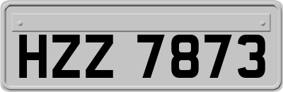 HZZ7873