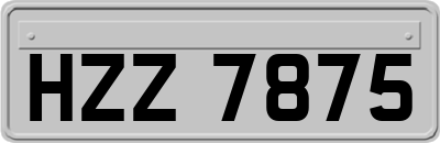 HZZ7875