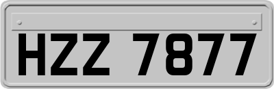 HZZ7877