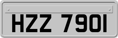 HZZ7901