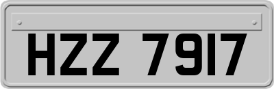HZZ7917