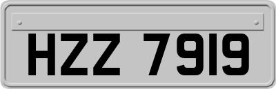 HZZ7919