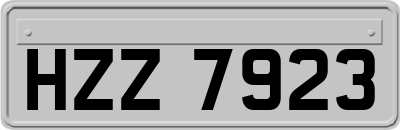 HZZ7923