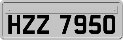 HZZ7950