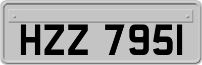 HZZ7951