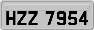 HZZ7954