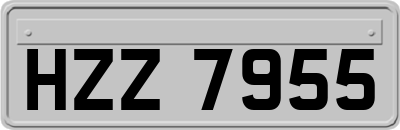 HZZ7955
