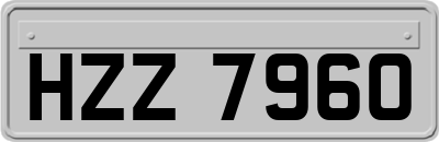 HZZ7960