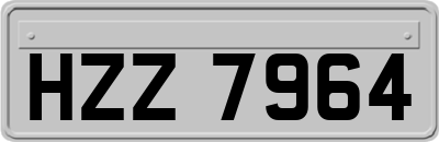 HZZ7964