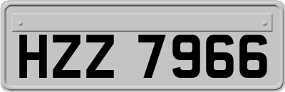 HZZ7966