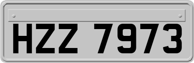 HZZ7973
