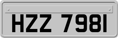HZZ7981