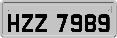 HZZ7989