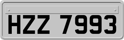 HZZ7993