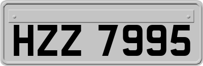 HZZ7995
