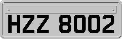HZZ8002