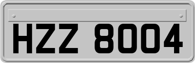 HZZ8004
