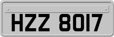 HZZ8017