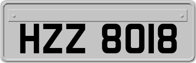 HZZ8018