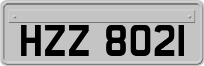 HZZ8021