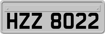 HZZ8022