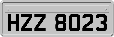 HZZ8023