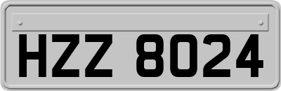 HZZ8024