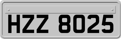 HZZ8025