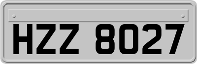 HZZ8027