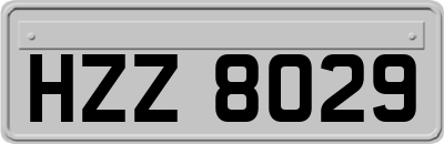 HZZ8029